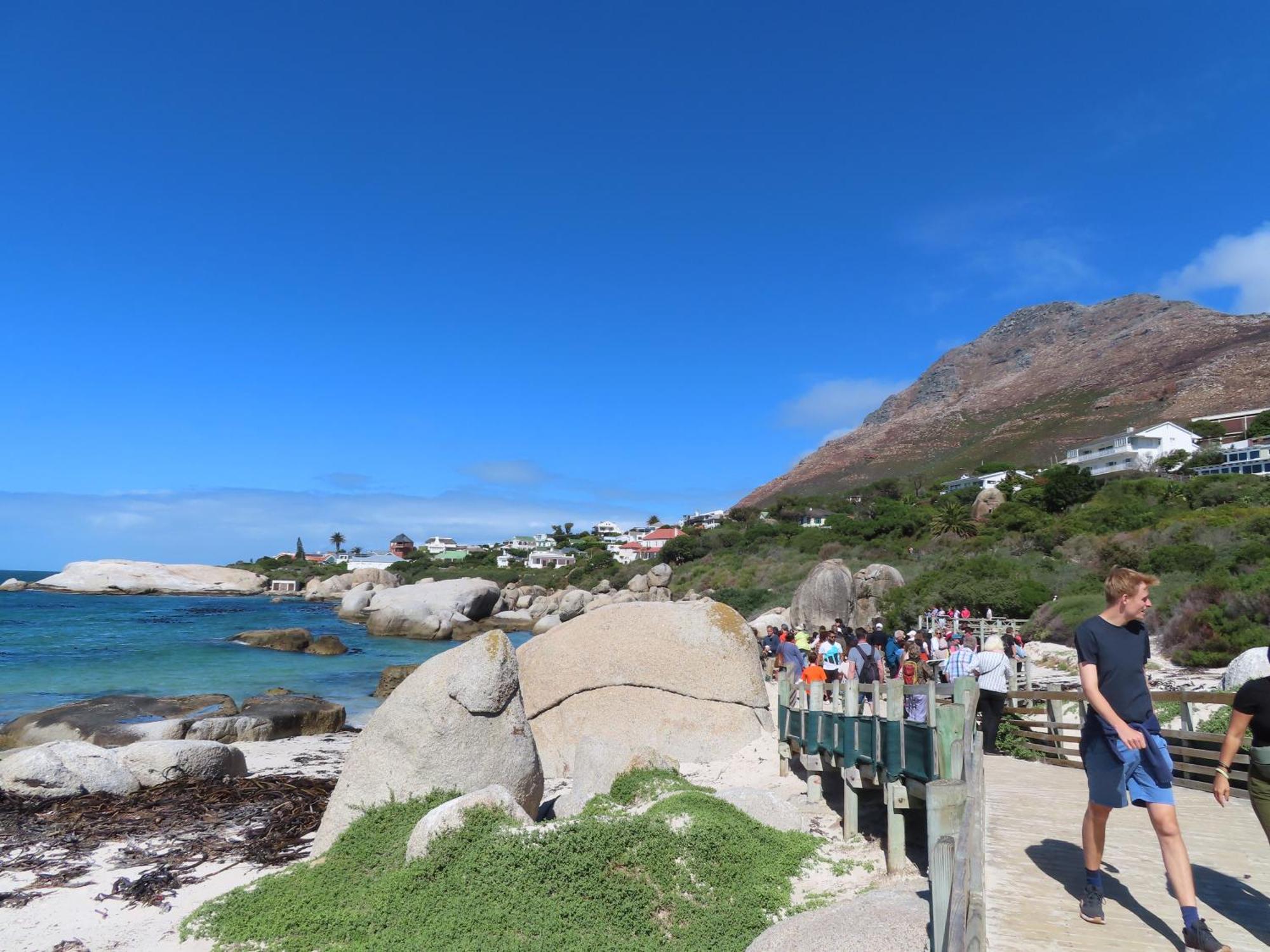 Apartament Bonne Esperance, Simonʼs Town Zewnętrze zdjęcie